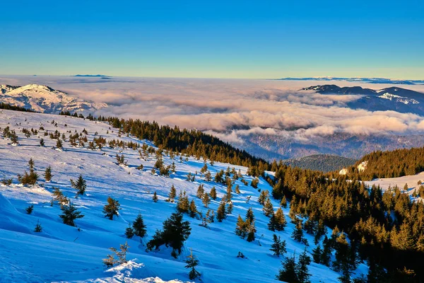 Ceahlu山からの空中景観 冬の霧に包まれた日の出の国立公園 Ceahlu山の日の出 — ストック写真