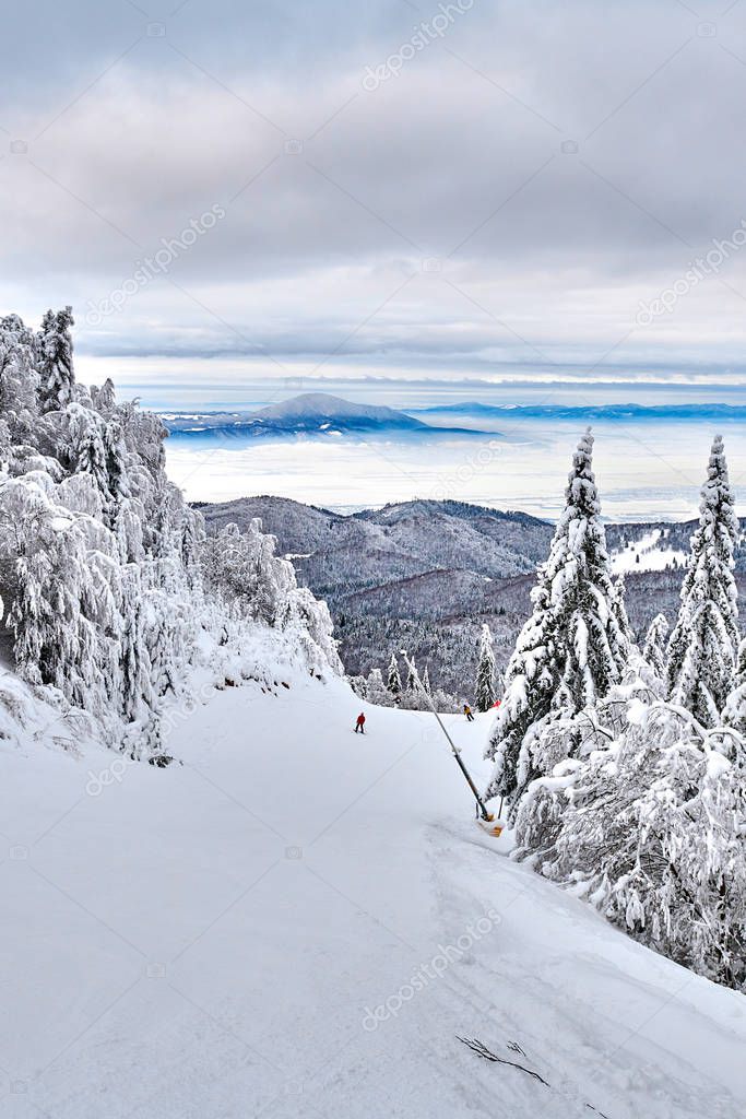 Skiers and snowboarders enjoy the ski slopes in Poiana Brasov winter resort whit forest covered in snow on winter season