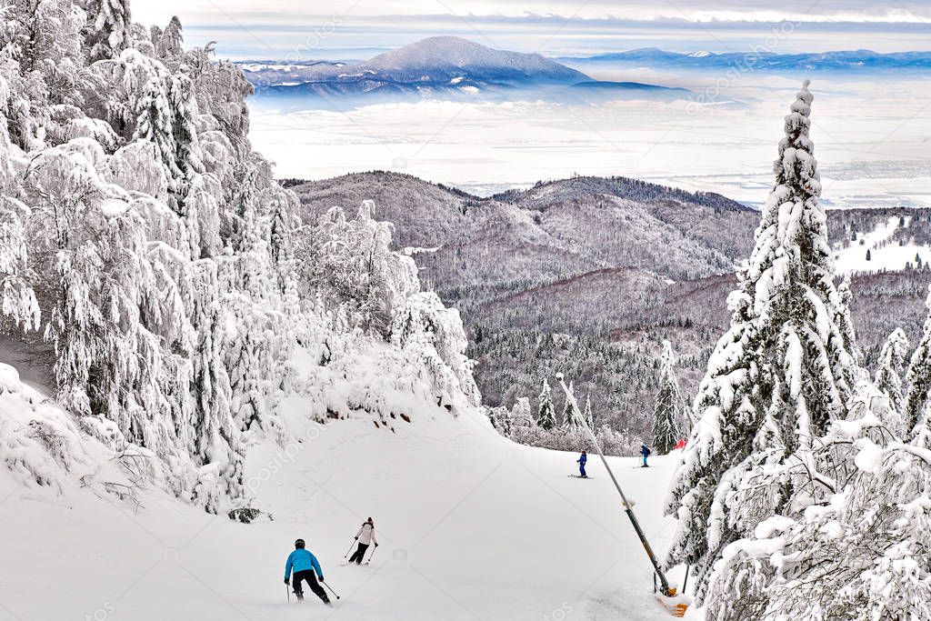 Skiers and snowboarders enjoy the ski slopes in Poiana Brasov winter resort whit forest covered in snow on winter season