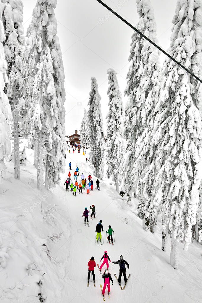 Poiana Brasov, Romania -16 January 2019:Skiers and snowboarders enjoy the ski slopes in Poiana Brasov winter resort whit forest covered in snow on winter season