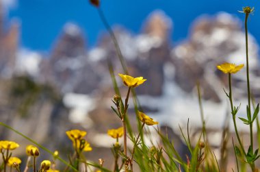 Molveno 'dan görünen Dolomites di Brenta grubunun güzel manzarası