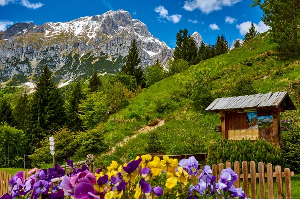 Molveno 'dan görünen Dolomites di Brenta grubunun güzel manzarası