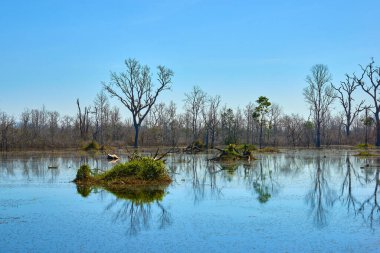 Yapay adadaki Neak Pean Tapınağı 'nın yanındaki göl. Angkor Wat kompleksi, Angkor Wat Arkeoloji Parkı Siem Reap, Kamboçya UNESCO Dünya Mirası Bölgesi