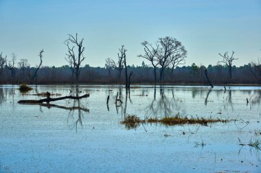 Yapay adadaki Neak Pean Tapınağı 'nın yanındaki göl. Angkor Wat kompleksi, Angkor Wat Arkeoloji Parkı Siem Reap, Kamboçya UNESCO Dünya Mirası Bölgesi