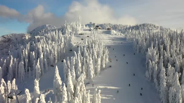 Terbang Atas Lereng Ski Yang Spektakuler Pegunungan Carpathians Pemandangan Panorama — Stok Video