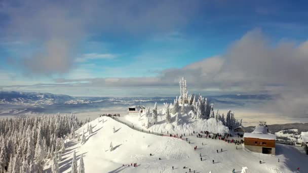 カルパチア山脈の壮大なスキー場を飛んで 雪に覆われたスキー場の白い森の上のパノラマビュー トランシルヴァニアのスキーリゾート ポアニア ブラゾフ ルーマニア ヨーロッパ — ストック動画