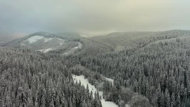 Lot Nad Spektakularnymi Stokami Narciarskimi Karpatach Panoramiczny Widok Stok Narciarski — Wideo stockowe