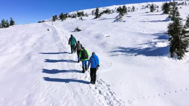 Hombres jóvenes caminando sobre la nieve en las montañas Ceahlau, vista del paisaje aéreo desde el Parque Nacional Ceahlau — Vídeo de stock