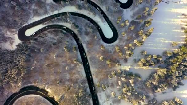 Воздушный беспилотник, вид змеи в преддельных горных лесах, покрытых снегом в зимний сезон, Предеал, Румыния — стоковое видео