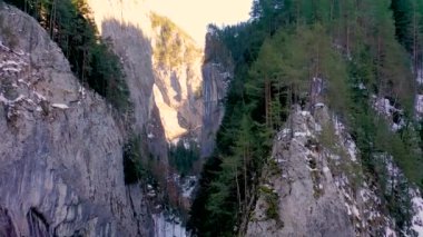 Kayalık dağ ormanlarındaki bir yılanın insansız hava aracı görüntüsü, Bicaz vadisi kış mevsiminde dolambaçlı yol ile, Cheile Bicazului, Romanya
