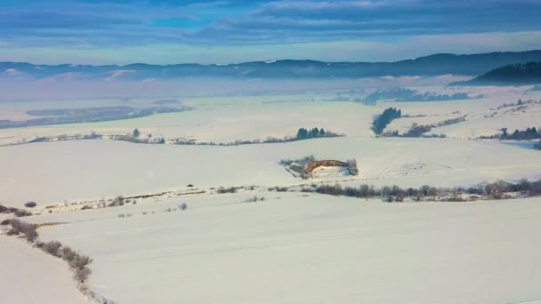 Verbazingwekkende Luchtfoto Van Een Winter Landschap Door Drone — Stockvideo