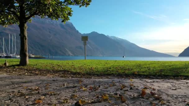 Εναέρια Βίντεο Drone Θέα Της Όμορφης Λίμνης Garda Λίμνη Περιβάλλεται — Αρχείο Βίντεο