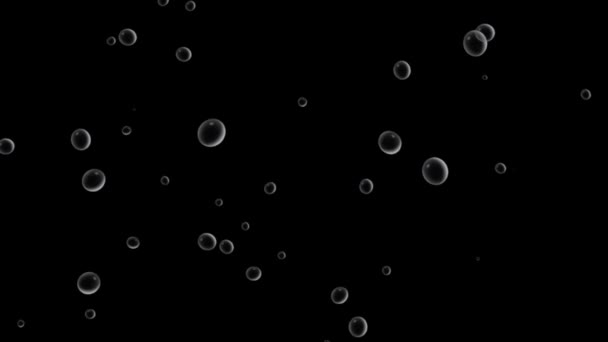 Animation Water Bubble Black Background — Stock Video