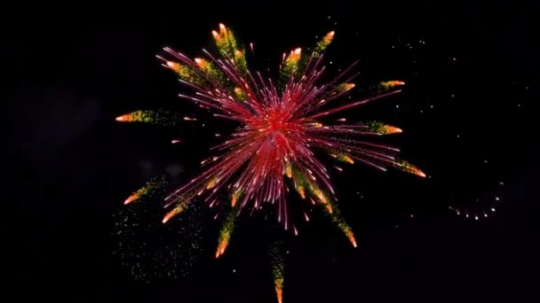 Animation Buntes Feuerwerk Auf Schwarzem Hintergrund — Stockvideo