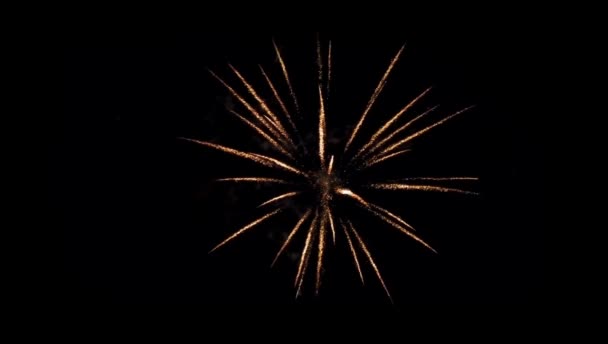 Realistische Animation Orange Feuerwerk Auf Schwarzem Hintergrund — Stockvideo