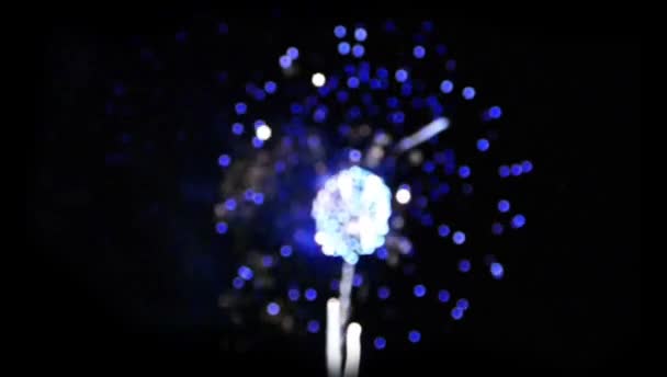 Gerçekçi Animasyon Beyaz Mavi Firework Siyah Arkaplanda Bulanıklaştı — Stok video