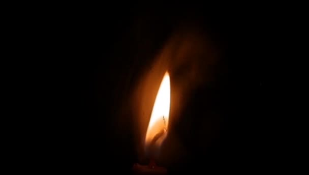 Realistische Flamme Aus Kerzen Auf Schwarzem Hintergrund — Stockvideo