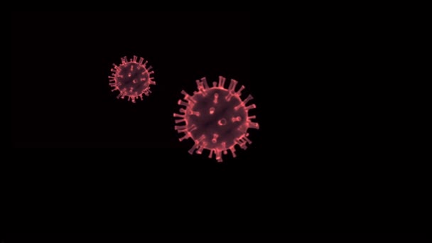 Animazione Virus Rosso Con Sfondo Nero — Video Stock