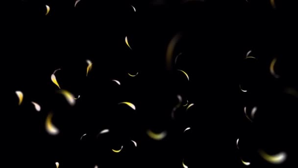 Animation Yellow Petals Floating Black Background — Stock Video