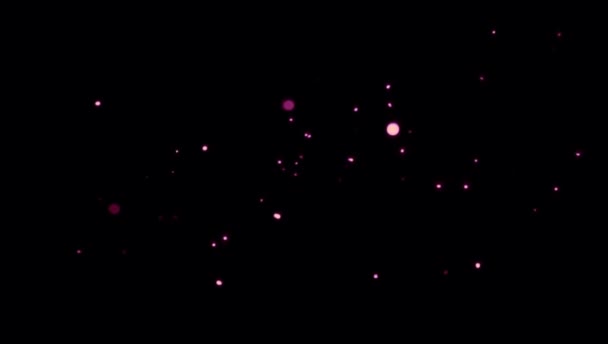 Рожеве Світло Від Світлячків Літають Чорному Тлі — стокове відео