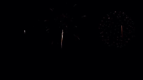 Realistic Colorful Firework Black Background Use Overlay — Stock Video