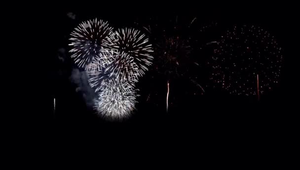 Realistické Barevné Ohňostroje Černém Pozadí Pro Použití Jako Překrytí — Stock video