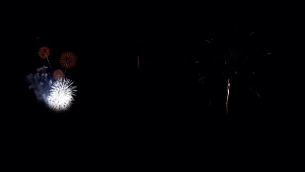 Realistic Colorful Firework Black Background Use Overlay — Stock Video