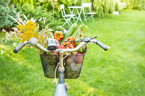 Fahrradkorb gefüllt mit frischem Gemüse und Blumen — Stockfoto