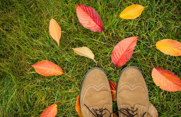 Pánské boty a barevné podzimní listy na zelené trávě — Stock fotografie