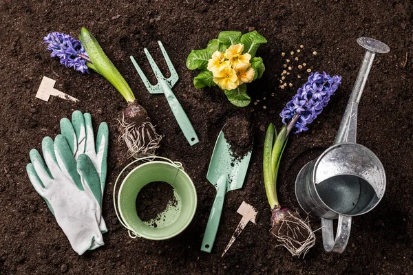 Spring garden works. Gardening tools and flowers on soil background. — Stock Photo, Image