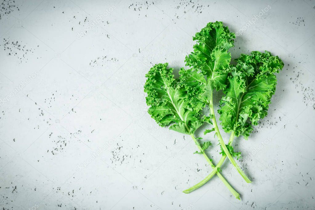 Fresh wet green kale leaves bunch on grey background