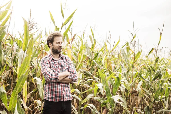 Agriculteur caucasien en chemise à carreaux et champ de maïs - agriculture — Photo
