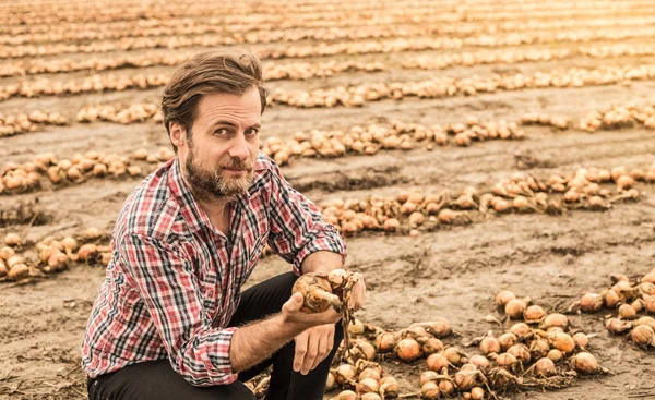 Agricoltore caucasico nel campo di cipolla di controllo camicia plaid — Foto Stock