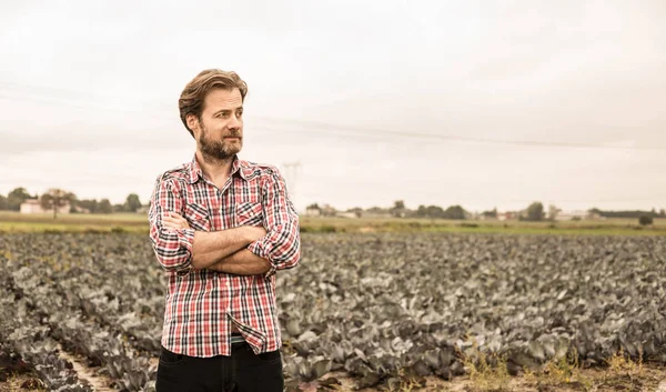 Farmer in plaid shirt and cabbage field - agriculture — Stock Photo, Image