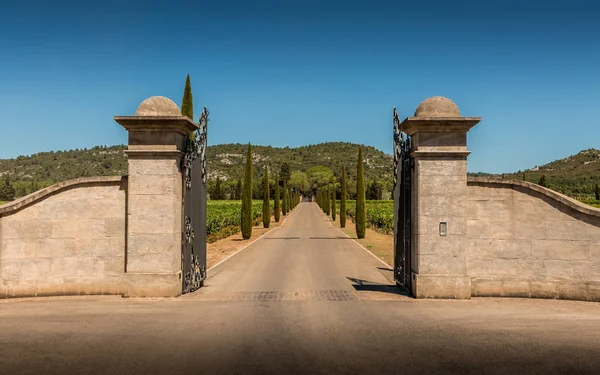 Portão de entrada, entrada, vinhas, ciprestes e colinas — Fotografia de Stock