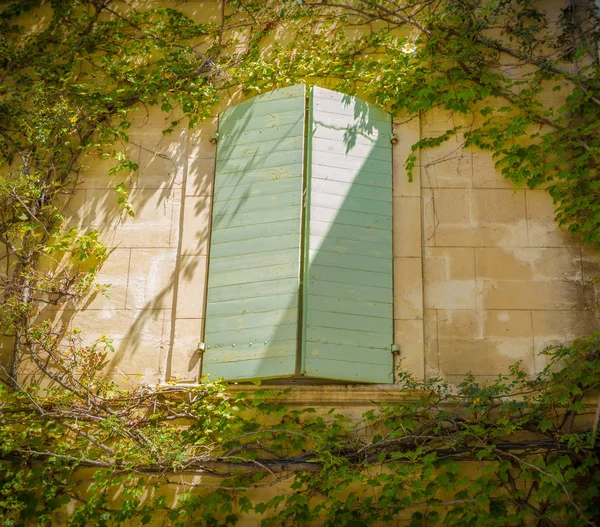 Pared edificable, persianas verdes y planta trepadora — Foto de Stock