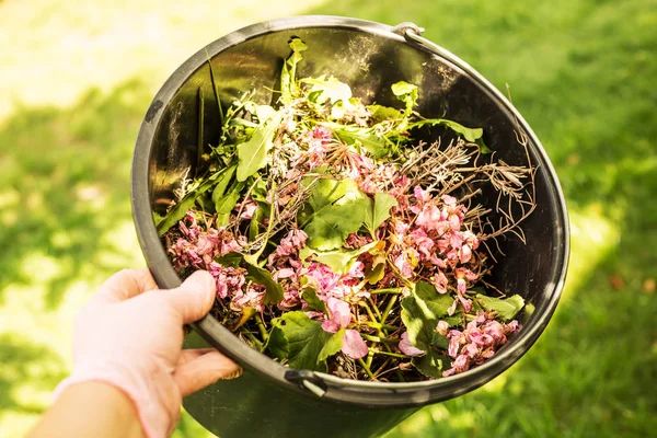 Tuinieren Organisch Afval Bioafval Emmer Met Verwelkte Bloemen Planten Onkruid — Stockfoto