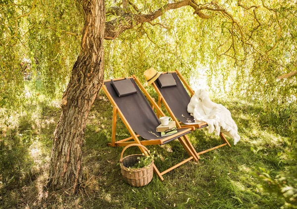 Zwei Hölzerne Liegestühle Morgenkaffee Und Bücher Unter Dem Baum Sommer — Stockfoto