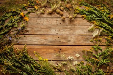 Yazın sonlarına doğru doğal çayır çiçekleri ve yukarıdan eski ahşap arka plandaki bitkiler. Bedava metin alanı olan çerçeve ya da sınır düzeni. Doğa elementleri - rustik biçim.