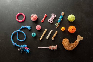 Siyah karatahta arka planda renkli eski püskü köpek oyuncakları koleksiyonu. Toplar, köpek çiğnenmiş, sopalar ve ip yukarıdan çekilmiş, düz konum.