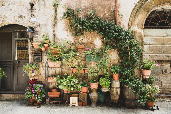 Pot plants garden in front of shabby townhouse facade - city landscape. Architecture details and gardening.