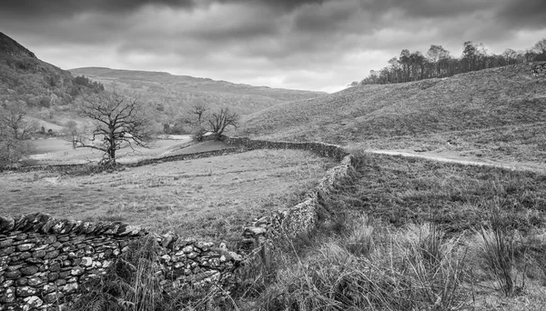 Svart Och Vit Landscaoe Grasmere Cumbria — Stockfoto