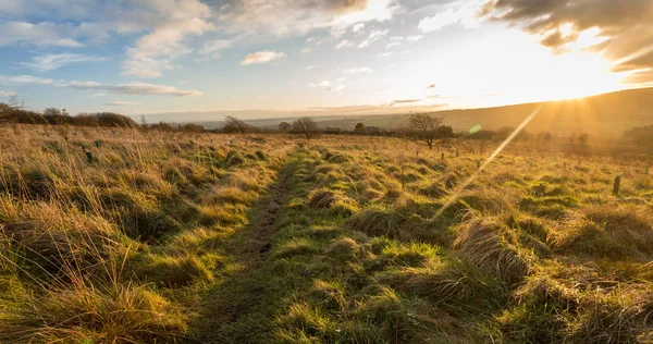 Cielo Serale Paesaggio Campagna Inglese — Foto Stock