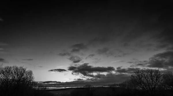 Evening Skyline Dark Silhouette Trees — Stock Photo, Image