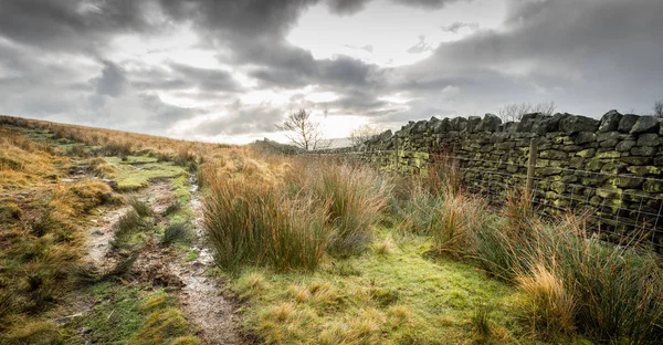 Scena Naturalistica Della Brughiera Inglese Settentrionale — Foto Stock