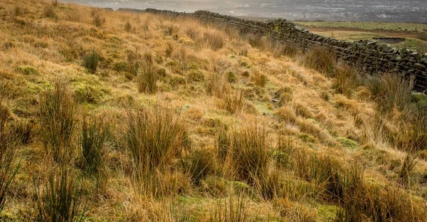 Nature Scene Northern English Moors — Stock Photo, Image