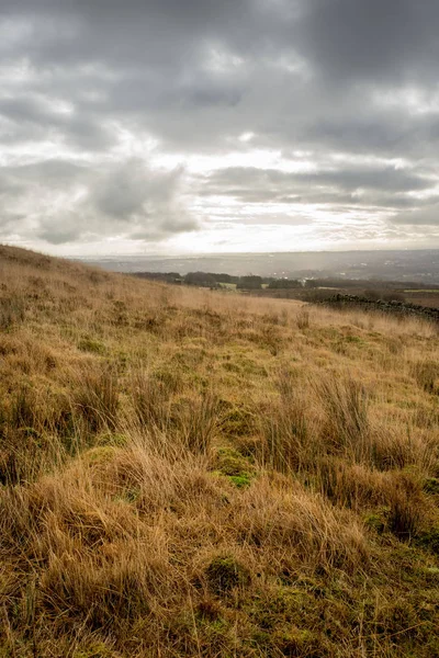 Nature Scene Northern English Moors — Stock Photo, Image