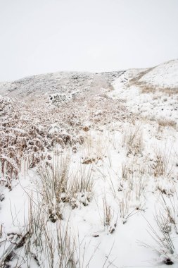 Karlı kış manzara rezalet