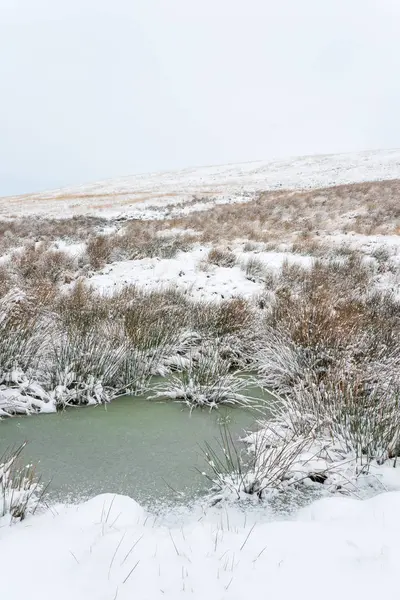 Una Campagna Ghiacciata Scena Invernale — Foto Stock