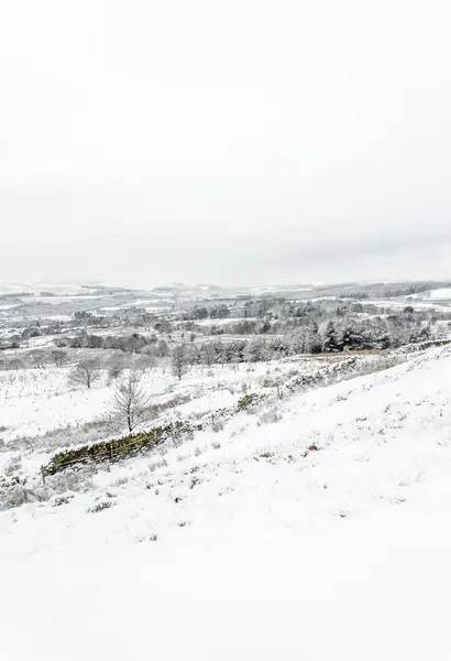 雪に覆われた冬の風景シーン — ストック写真